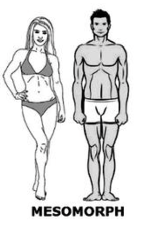 Mesomorph